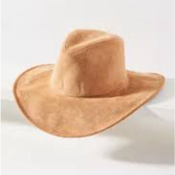 Anthropologie Accessories - Anthropologie San Diego Hat co suede fedora hat one size